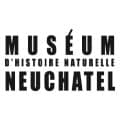Musée de Neuchatel